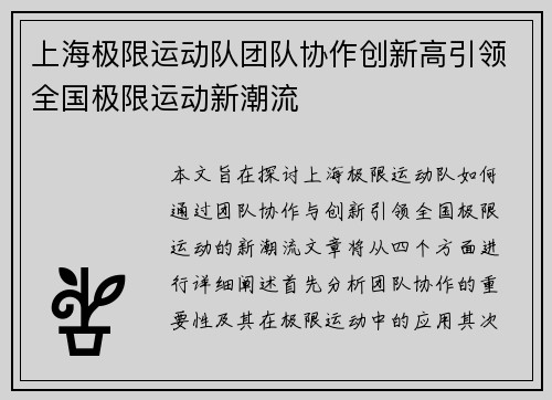 上海极限运动队团队协作创新高引领全国极限运动新潮流